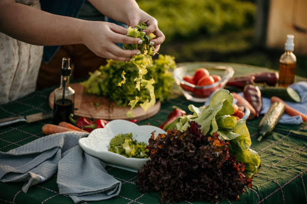 A pair of hands tearing lettuce up onto a plate on a table full of other produce.